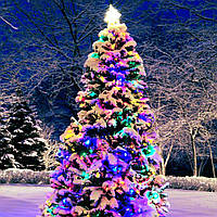 Christmas Forest №61, виробник США (Brambleberry), ваніль 0%