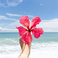 Sweet Nectar and Hibiscus, виробник США (Brambleberry), ваніль 0%