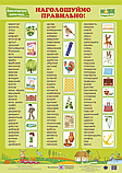 Комплект плакатів. Українська мова. 2-4 клас. НУШ., фото 7