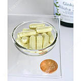 Гінкго Білоба Swanson Ginkgo Biloba Extract 60 мг 120 капсул, фото 4