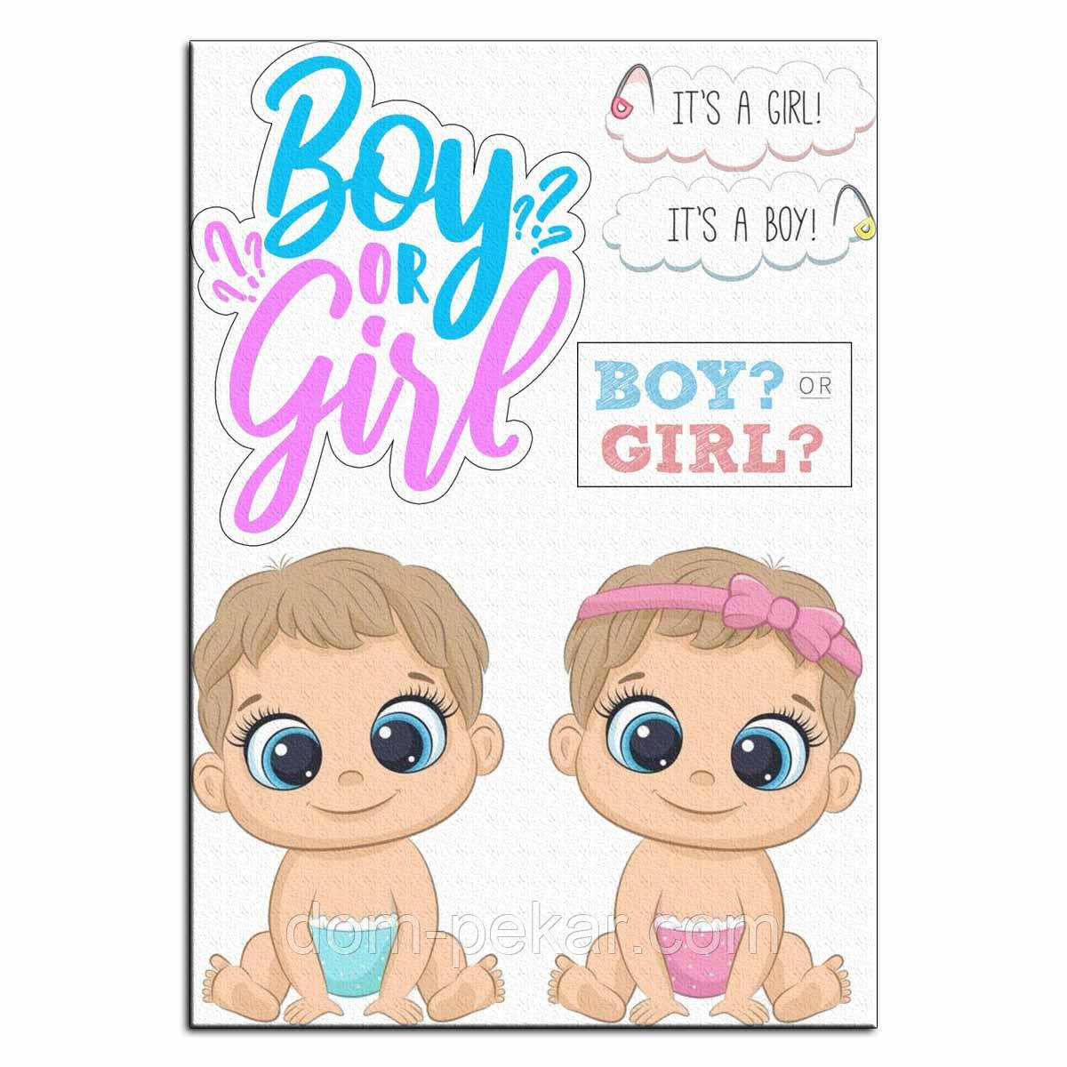 Boy Or Girl Gender