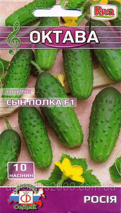 Насіння Огірок бджолиний Син полиця F1, 10 насіння Riva, фото 1