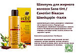 Шампунь для жирного волосся Sano Tint Швейцарія, фото 4