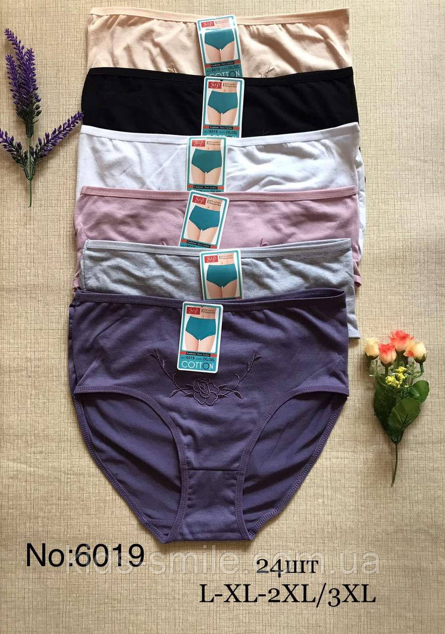 Труси жіночі