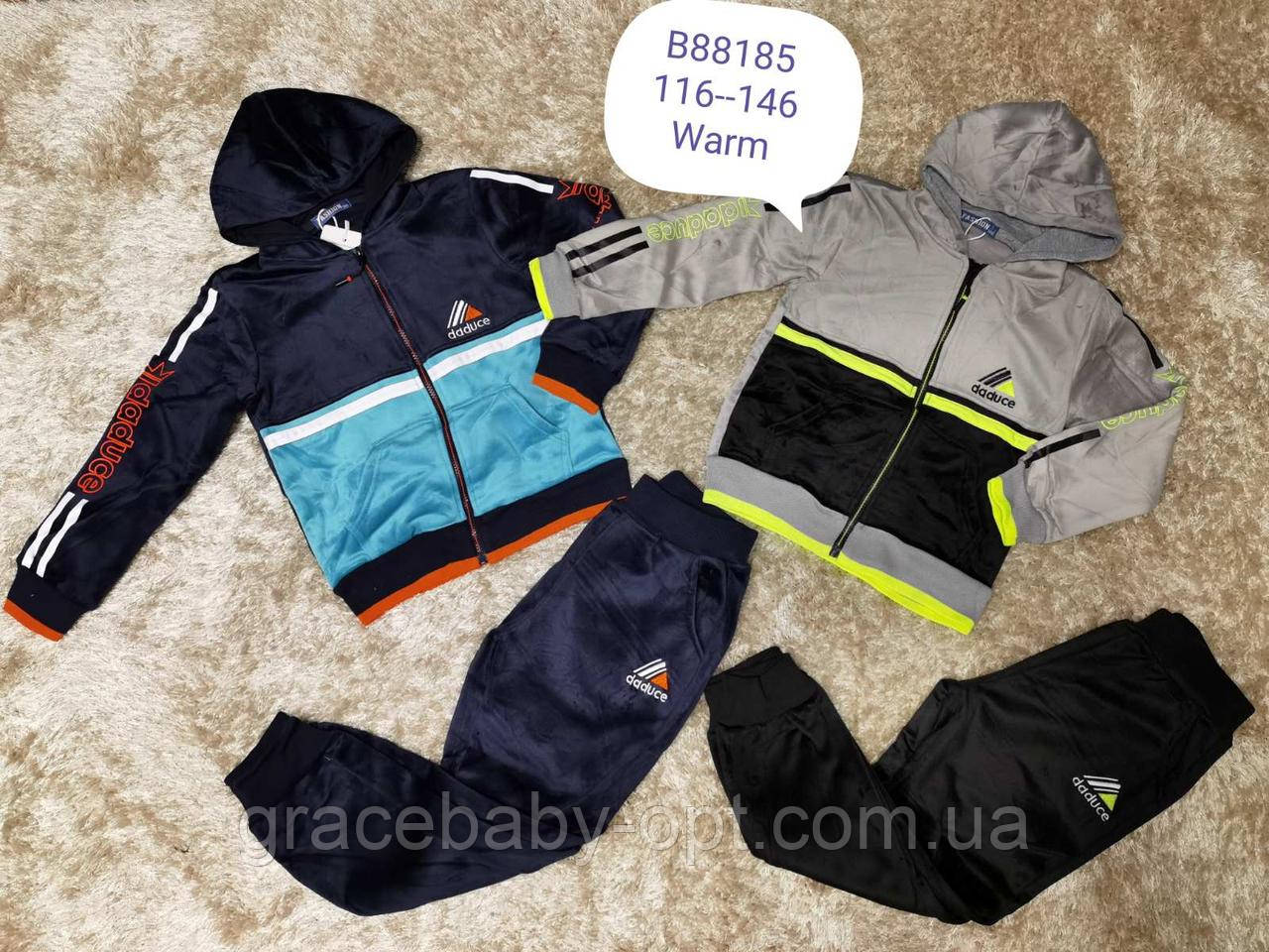 Велюровий утепленний костюм 2 в 1 для хлопчика оптом, Grace, 86-116 см, № B88185