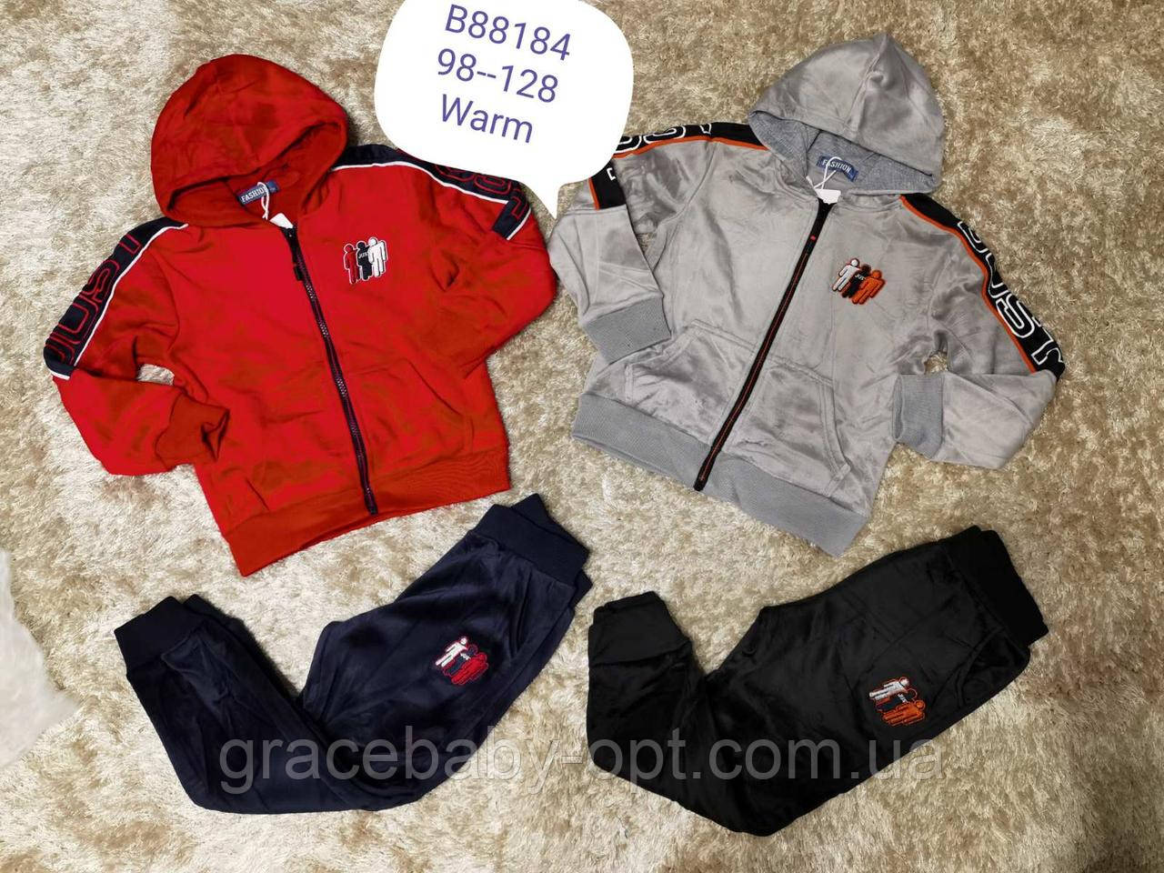 Велюровий утепленний костюм 2 в 1 для хлопчика оптом, Grace, 98-128 см, № B88184