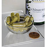 Ехінацея Swanson Echinacea 400 мг 100 капсул, фото 2