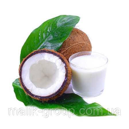 Вершки сухі кокосові Kievit Vana Blanca 31E, 31% жирності (Нідерланди)