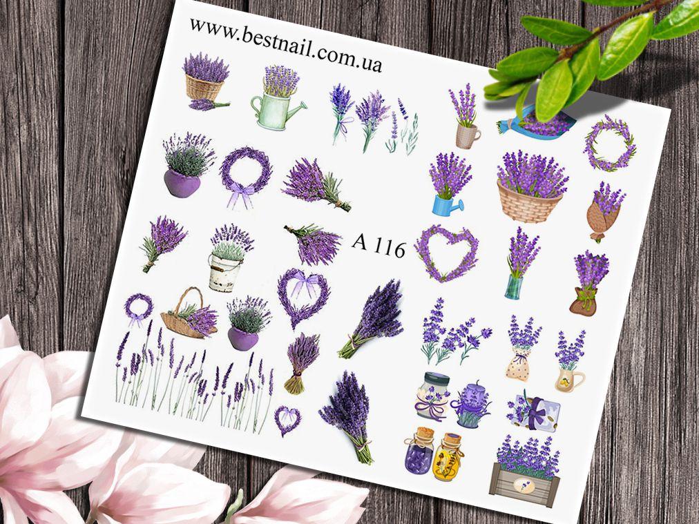 Слайдер-дизайн A-116, фото 1