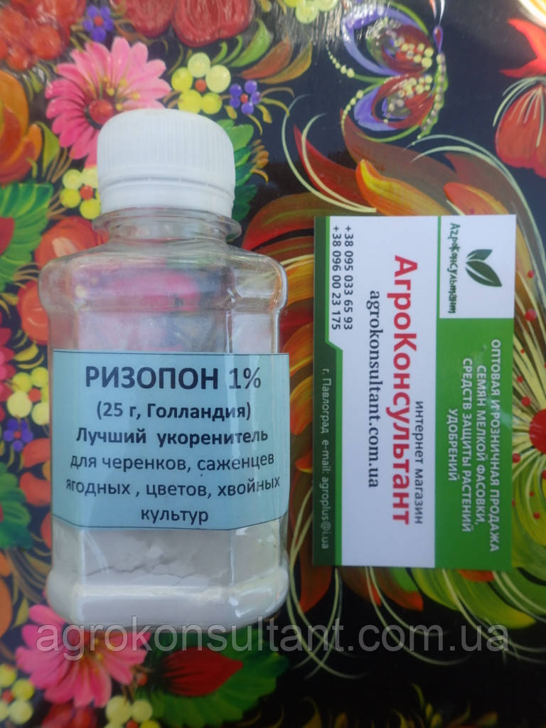 Препарат Різопон / Rhizopon Powder АА 1%, 25 грам — найкращий укорінювач для рослин, Rhizopon BV
