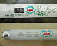 Лампа AQUATIC SPECIAL LIGHT 40W, T8