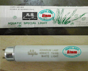 Лампа AQUATIC SPECIAL LIGHT 40W, T8
