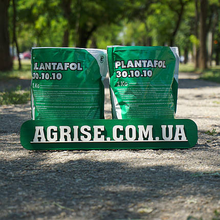 Плантафол 30+10+10 (Plantafol 30+10+10) Valagro 1кг, фото 1
