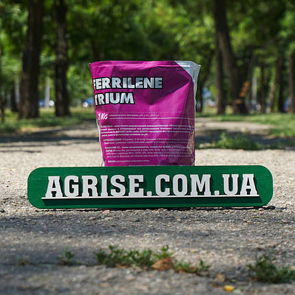 Феррілен ТРІУМ / Ferrilen TRIUM Valagro 1кг, фото 1