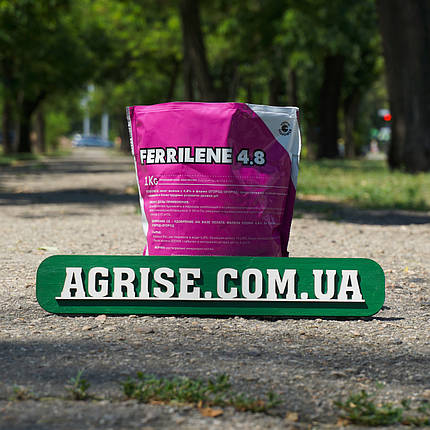 Феррілен 4.8 / Ferrilen 4.8 Valagro 5кг, фото 1