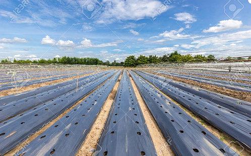 Плівка мульчують з перфорацією 25*30 см SOTRAFA (Іспанія) чорна 1.2*1000м (25мкм), фото 1