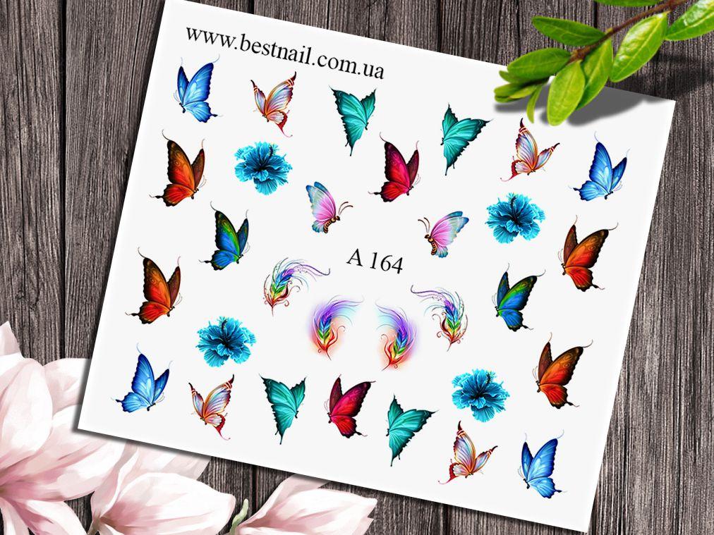 Слайдер-дизайн A-164, фото 1