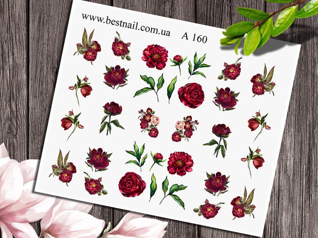 Слайдер-дизайн A-160, фото 1