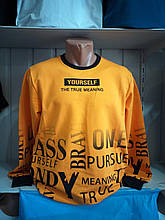 Батник чоловічий норма(р. M,L,XL,XXL)