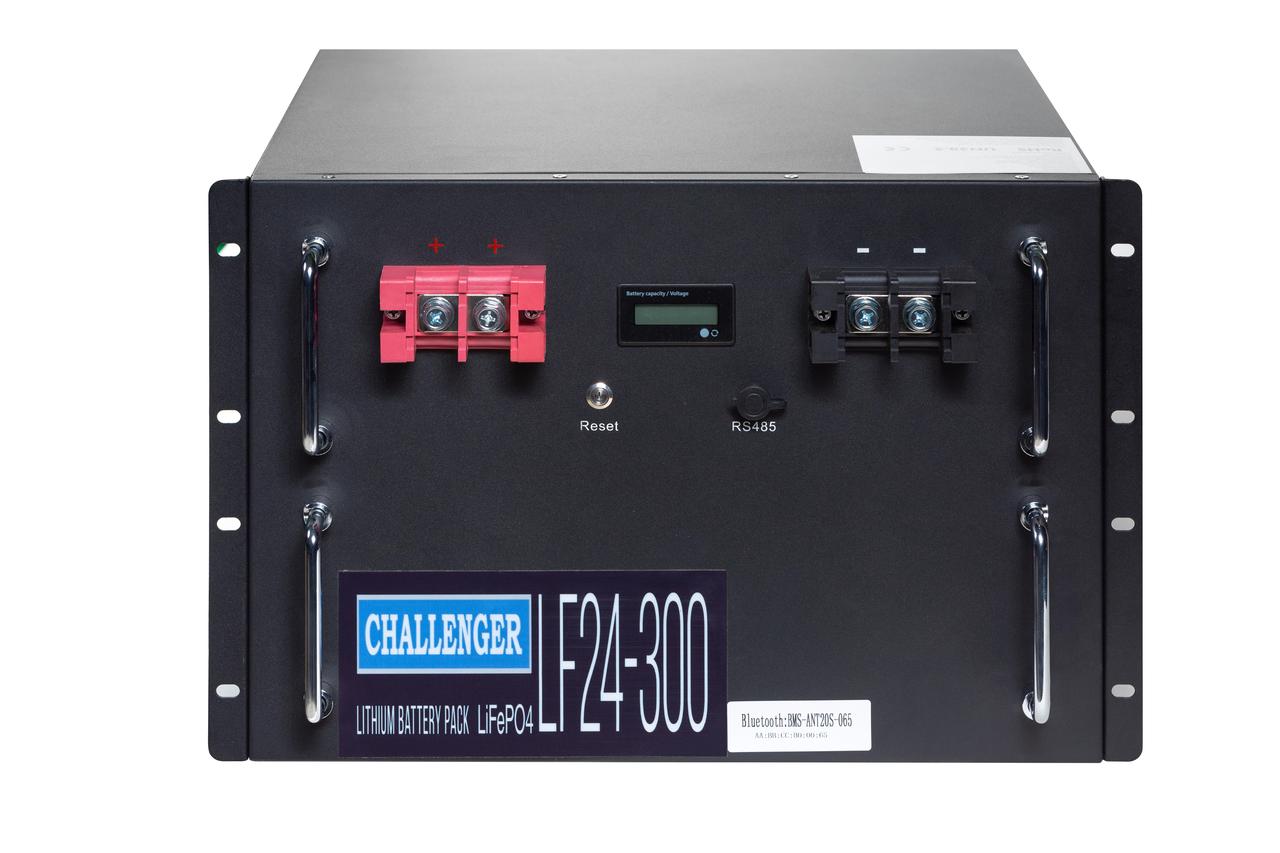Акумулятор LiFePO4 Challenger LF24-300, фото 1