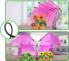 Фитолампа світлодіодна для рослин Plant Grow Light 7819 з таймером, чорна, фото 3
