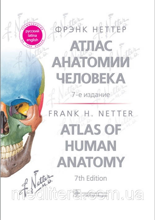 Неттер Ф. Атлас анатомії людини 2021 рік 7-е видання, фото 1