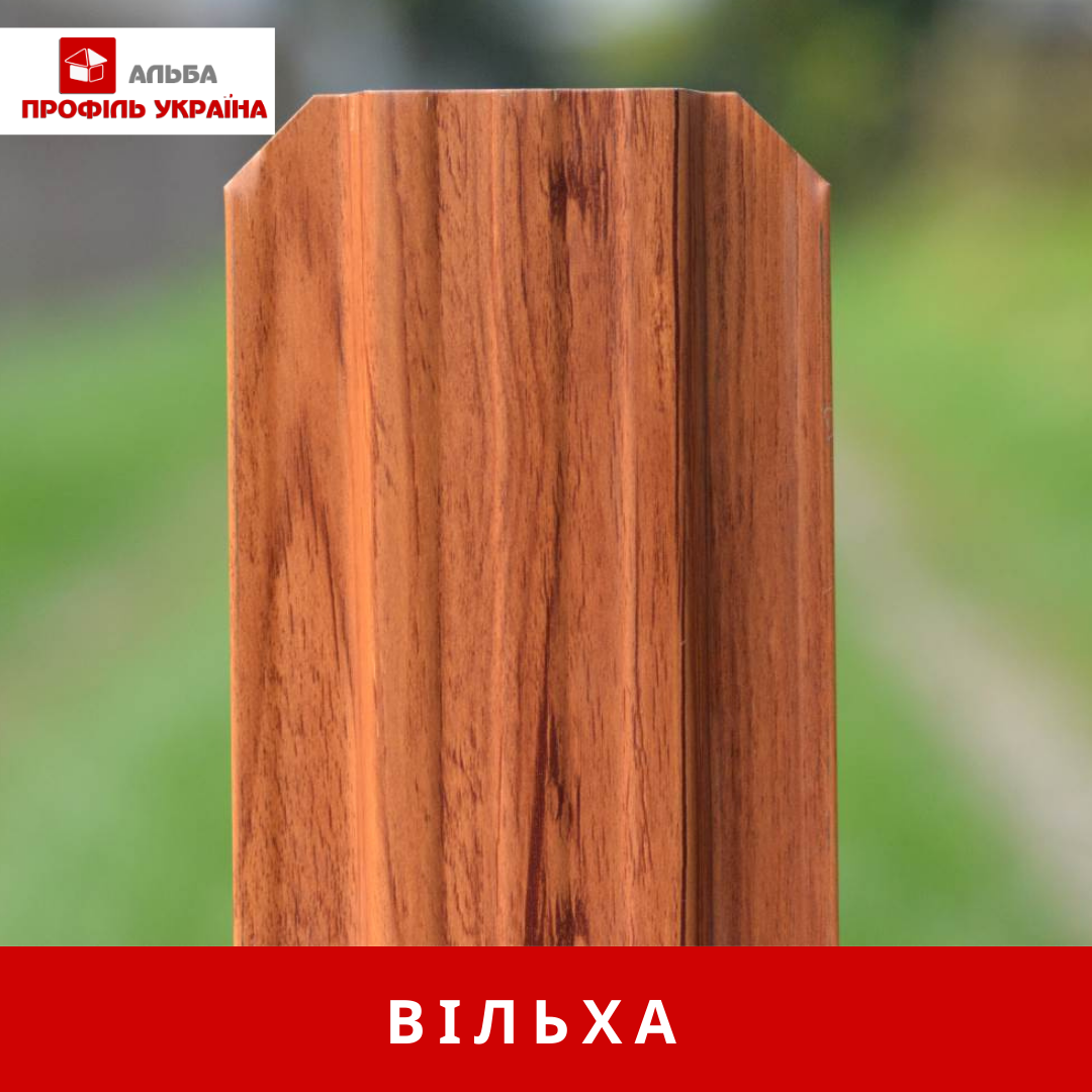 Штахетник Вільха