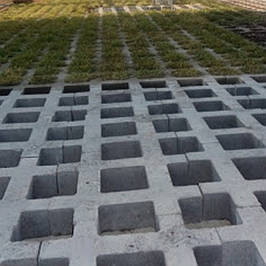 Паркувальна Решітка 80мм