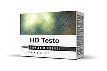 HD Testo (АшДі Тісто)