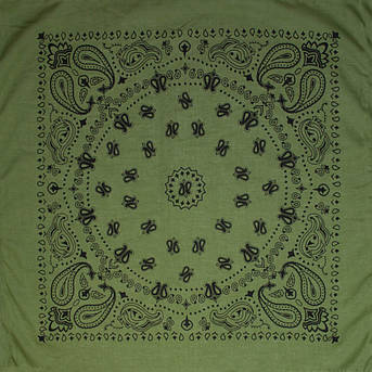 Бандана Талісман Турецький огірок оливкова, фото 1