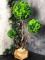 Дерево декоративное "топиарий" со стабилизированным мхом 70см с тремя кронами