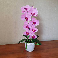 Композиция из Латексных орхидей Премиум качества на Одну веточку в Кеамическом горшочке