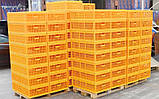 Ящик Piedmont Coop для перевезення птахів двох-дверний 970х580х270мм, фото 6