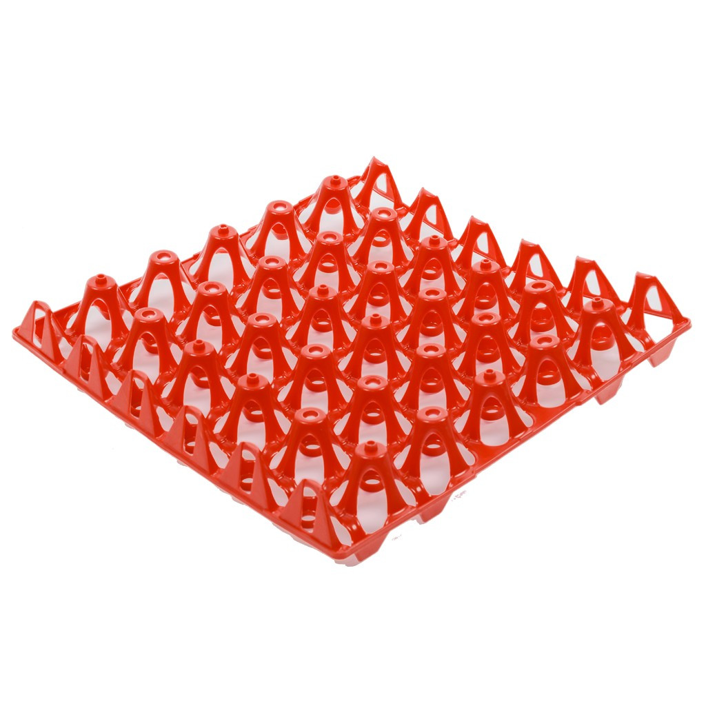 Лоток для яєць Standard 300x300x55 мм пластиковий