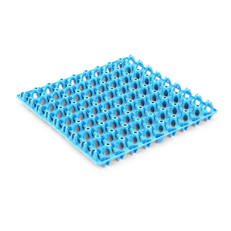 Лоток для перепелиних яєць пластиковий 300x300x36 мм