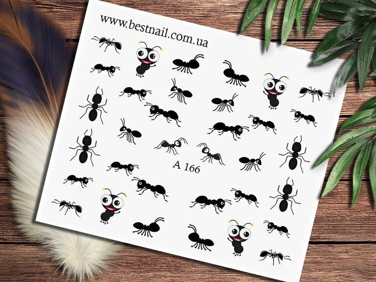 Слайдер-дизайн A-166, фото 1