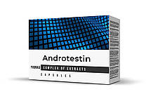 Androtestin (Андротестін)