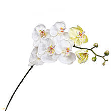 Біла орхідея 137 см