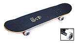 Дерев'яний СкейтБорд від Fish Skateboard COOL DOG, фото 3