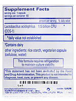 Лактобацил ацидофілін, Lactobacillus Acidophilus, Pure Encapsulations, 60 капсул BX051, фото 6