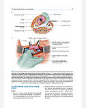 Шифрін Атлас хірургії паращитовидних залоз 2021 рік Посібник атлас з хірургії, фото 6