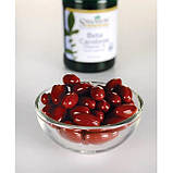 Вітамін А Swanson Beta Carotene 7500 mg (Vitamin A 25.000 IU) 100 гелевих капсул, фото 4
