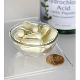 Бетаїн з Пепсином Swanson Betaine HCI Hydrochloric Acid with Pepsin 250 капсул, фото 2