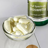 Босвеллія Swanson Boswellia Double Strength 800 мг 60 капсул (Суглоби і зв'язки), фото 2