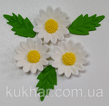 Прикраси на торт Набір "Ромашка з листочками", фото 1