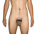 Накладка пляжна для засмаги або накладка еротична чоловіча напівпрозора леопардова Один розмір, фото 2