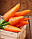 Насіння Морква Каротель, 10 м, фото 3