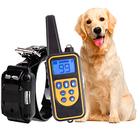 Нашийник електронний для дресирування собак з пультом ДУ DTC-800