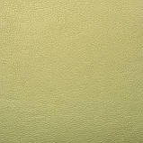 Меблева тканина Мадрас перламутр - 4 MINT, фото 2
