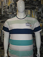 Мужская футболка (5XL, 7 XL) большого размера Paul Shark Турция